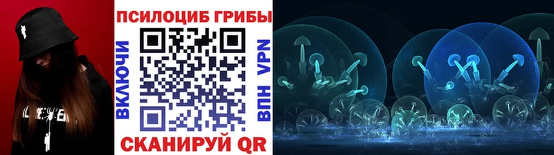 где купить   Карабулак  Псилоцибиновые грибы Psilocybe 