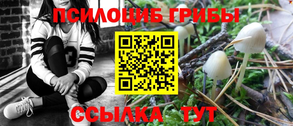 Псилоцибиновые грибы GOLDEN TEACHER Карабулак