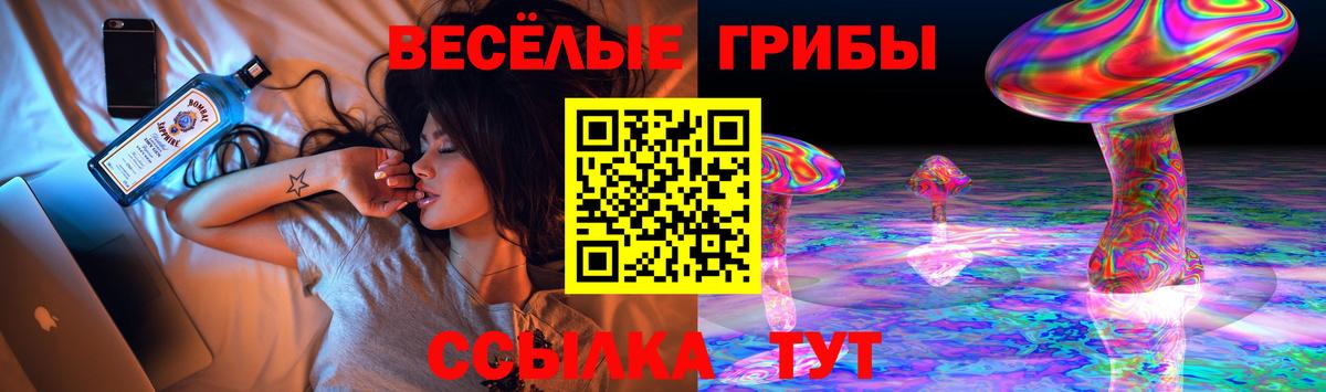 Карабулак  Псилоцибиновые грибы Psilocybe  Вход с VPN 