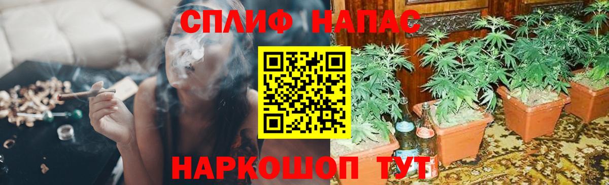 Бошки Шишки THC 21% Карабулак